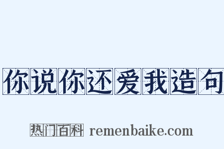 你说你还爱我造句是什么意思的图片